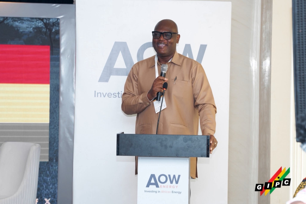 Invest in Ghana, we are ready for both fossil fuel, renewable energy projects – GIPC CEO – MyJoyOnline