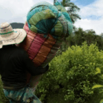 US designates Colombia as country 'failing to cooperate in drug war'