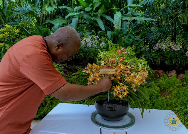 Orchid named after Mahama as Ghana Garden and Flower Show draws inspiration from Singapore – MyJoyOnline