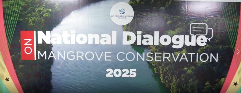 Conservationists call for tougher sanctions to protect Ghana’s declining mangroves – MyJoyOnline