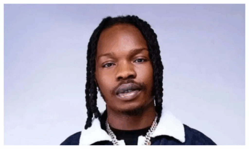 Naira Marley ‘attacked’ on stage in Cotonou over Mohbad’s death – MyJoyOnline