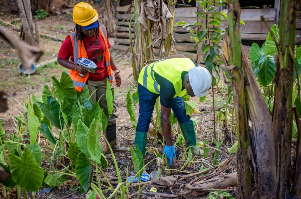 Health alert! Crops, fish poisoned in Galamsey areas – New study warns – MyJoyOnline