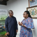 SSNIT to expand, remodel key hotels to boost investment returns – DG discloses   SSNIT to expand, remodel key hotels to boost investment returns – DG discloses