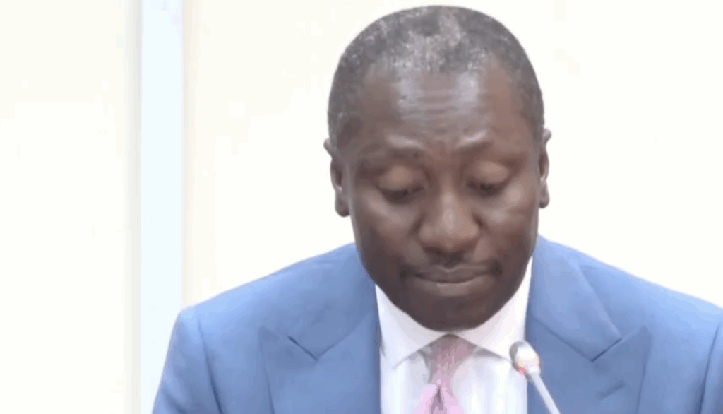 Minority pushes for parliamentary scrutiny of flagship programmes – MyJoyOnline