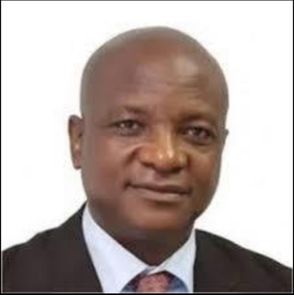 Togbe Afede XIV signs landmark MoU to introduce Chinese bank to Ghana – MyJoyOnline