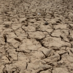 Left behind by long dry days: Nante-Zongo’s farmers struggle to survive changing weather patterns Left behind by long dry days: Nante-Zongo’s farmers struggle to survive changing weather patterns