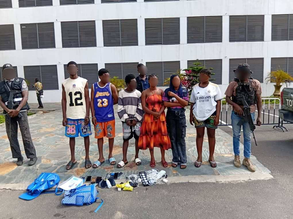 Police arrest ten suspects for creating fake online food delivery platforms – MyJoyOnline