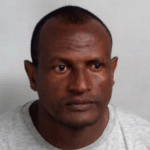 Migrant sex offender released due to human error, Lammy tells MPs Migrant sex offender released due to human error, Lammy tells MPs