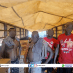 Twelve arrested for possession and transportation of ammunition at Nsakye