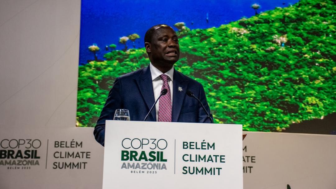COP30: Lands Minister tells world leaders Ghana is ready to power Africa’s clean energy future