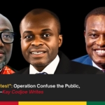'Agro Ne Fom Protest': Operation confuse the public, occupy the OSP - Kay Codjoe Writes