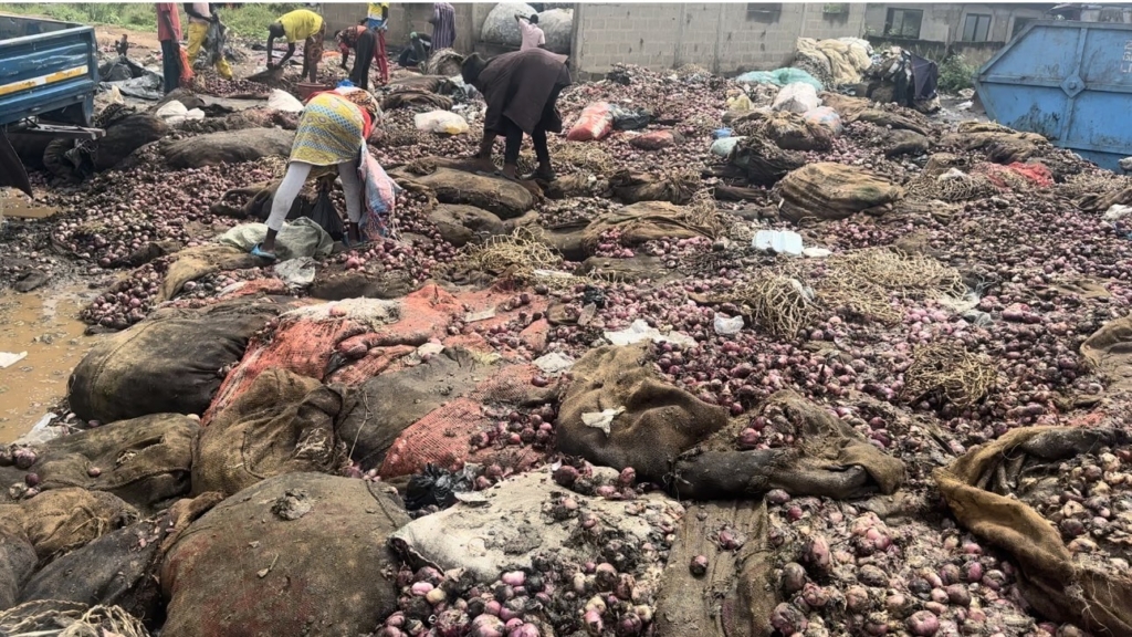 GH¢3.1 million in Onions Rot at Adjen Kotoku as Traders Face Total Ruin – MyJoyOnline