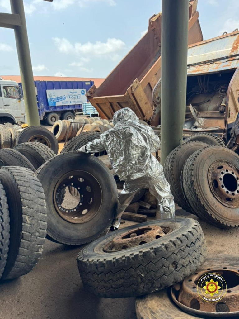 Fire Service safely relocates bee swarm from Zoomlion facility in Adenta Fire Service safely relocates bee swarm from Zoomlion facility in Adenta