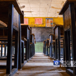 Nigeria gov't orders closure of 41 Unity Colleges over security concerns