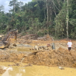 We're ready to support government in galamsey fight - NPP We're ready to support government in galamsey fight - NPP