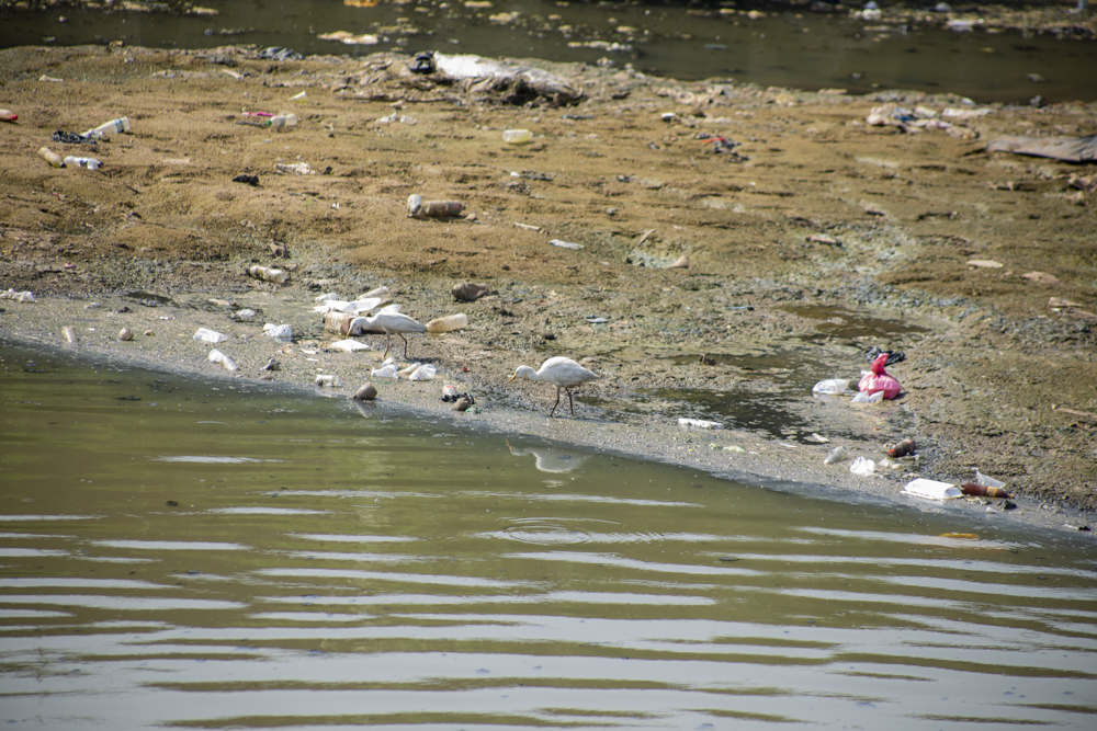 Eight months on: Abandoned silt threatens to reverse Odaw dredging works [Photos]
