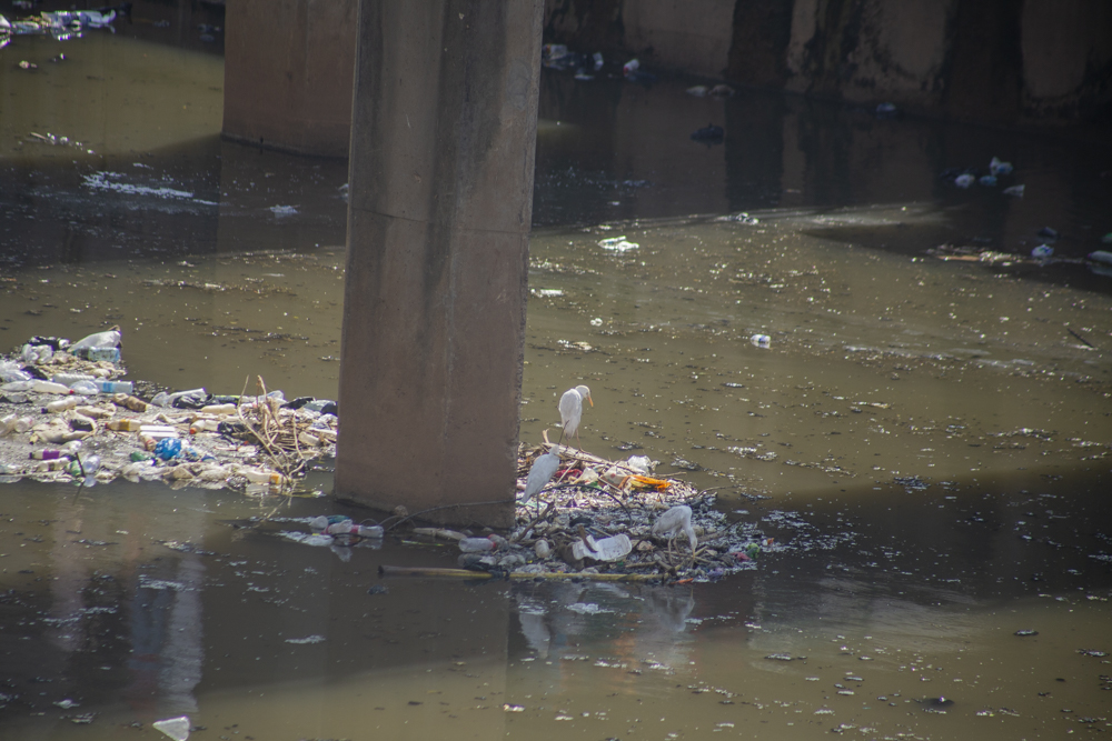 Eight months on: Abandoned silt threatens to reverse Odaw dredging works [Photos]