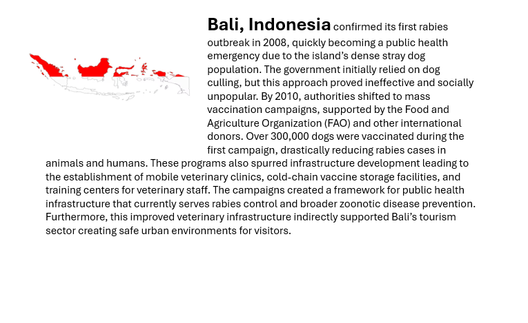 Removing stray animals from the streets of Accra