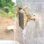 GWL restores water production after completing repairs at Barekese Plant