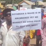 Farmers cry out over unsold rice as 1 million metric tons rot in storage