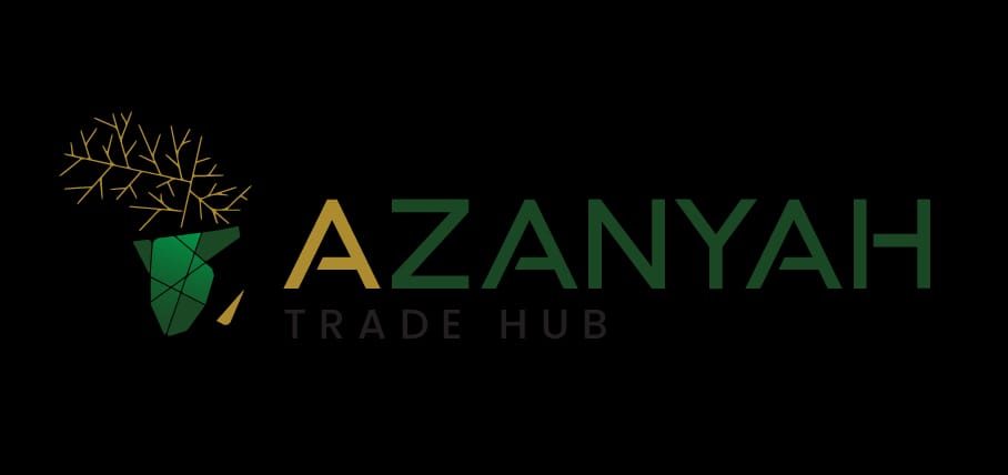 Young Innovators Dialogue connects South African entrepreneurs with UAE investors and opportunities – MyJoyOnline