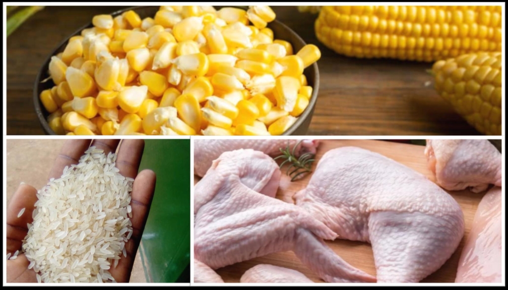 Mahama directs all schools to exclusively purchase local rice, maize, chicken, and eggs