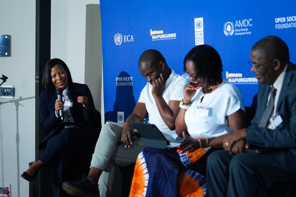 Africa charts a new path for critical minerals governance at high-level dialogue on the sidelines of G20 in South Africa