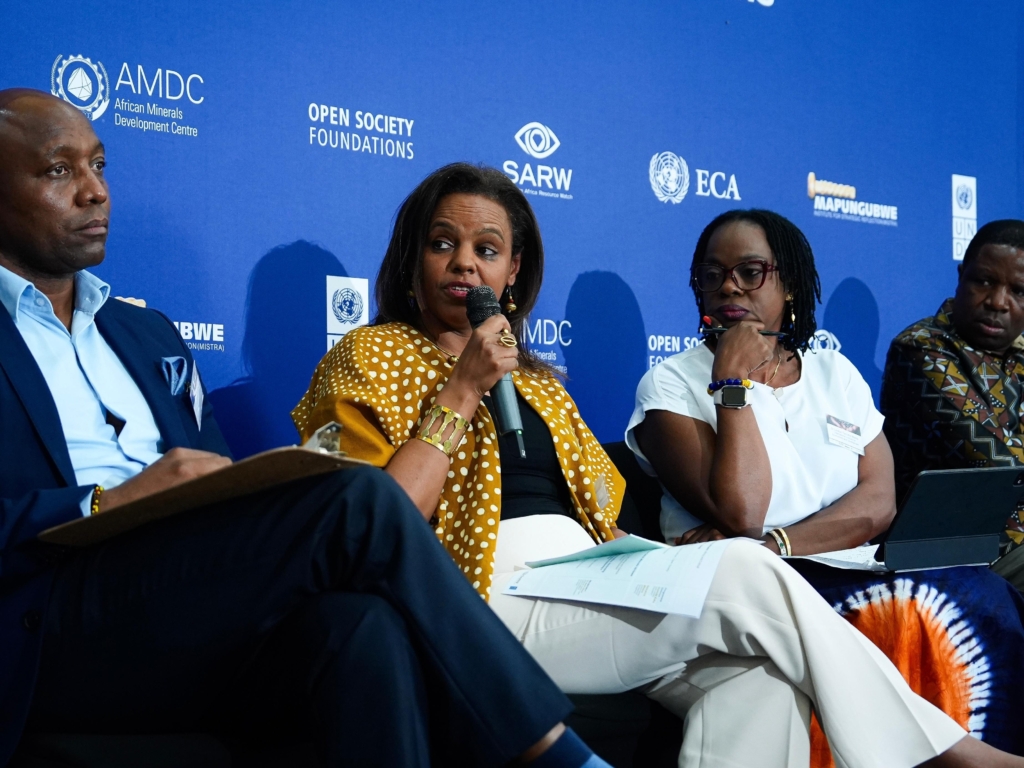 Africa charts a new path for critical minerals governance at high-level dialogue on the sidelines of G20 in South Africa