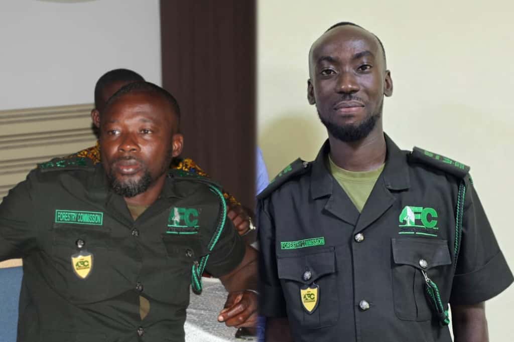Two Forestry Commission officers interdicted over auction of impounded lumber – MyJoyOnline