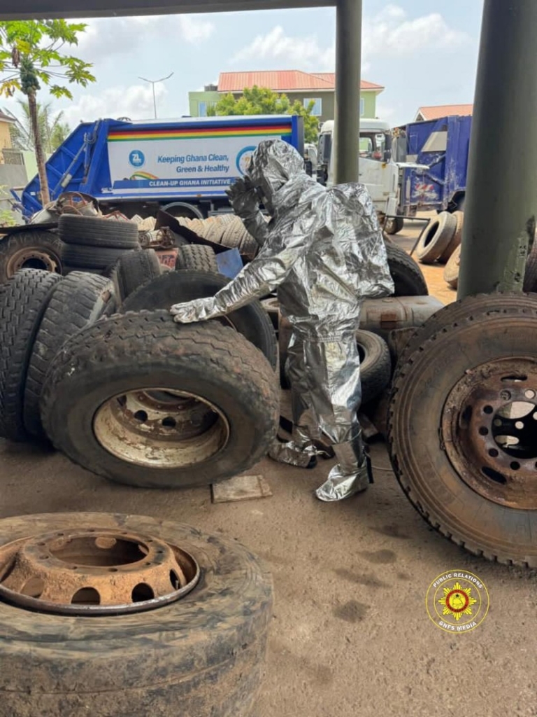 Fire Service safely relocates bee swarm from Zoomlion facility in Adenta – MyJoyOnline