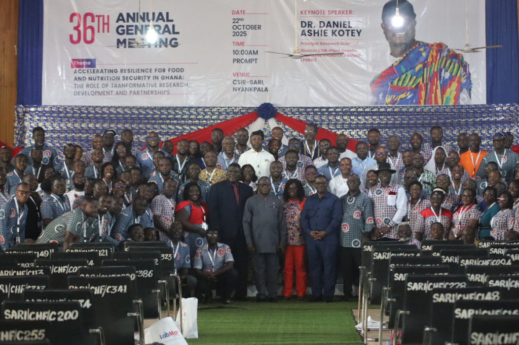 CSIR researchers push for more government funding to tackle galamsey with science-based solutions – MyJoyOnline