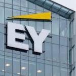 Success of 2026 Budget hinges on effective implementation of expenditure controls, others – EY Boss