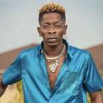 If possible, I’ll get Shatta Wale to join the NPP