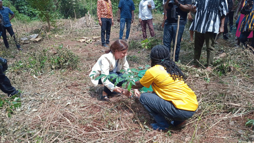 EU launches GH₵31m Forest Restoration Grant Scheme in Ghana’s northern belt and forest zones