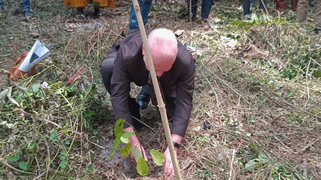 EU launches GH₵31m Forest Restoration Grant Scheme in Ghana’s northern belt and forest zones