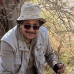 US citizen jailed in Saudi Arabia for criticising regime allowed to return to US