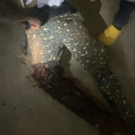 Two immigration officers ambushed and shot in Upper East Region’s Tempane district Two immigration officers ambushed and shot in Upper East Region’s Tempane district