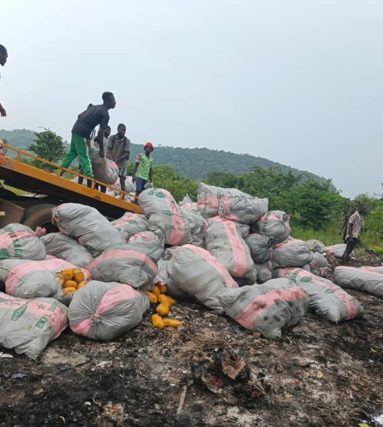 Police destroy 600 sacks of Indian hemp in Ho worth about GH¢4.2bn – MyJoyOnline
