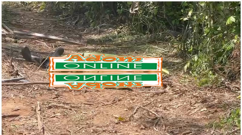 66-year-old farmer allegedly murdered on his farm at Dadiesoaba-Kaniago 66-year-old farmer allegedly murdered on his farm at Dadiesoaba-Kaniago