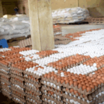Egg glut deepens as poultry farmers accuse market women of inflating prices
