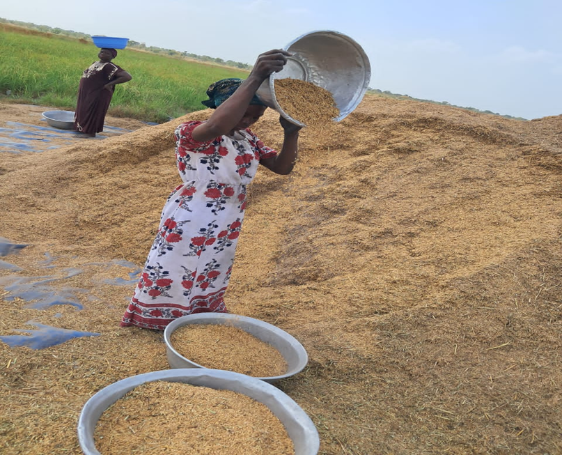 Migrant youth make U-turn as stakeholders develop intervention for dry spell