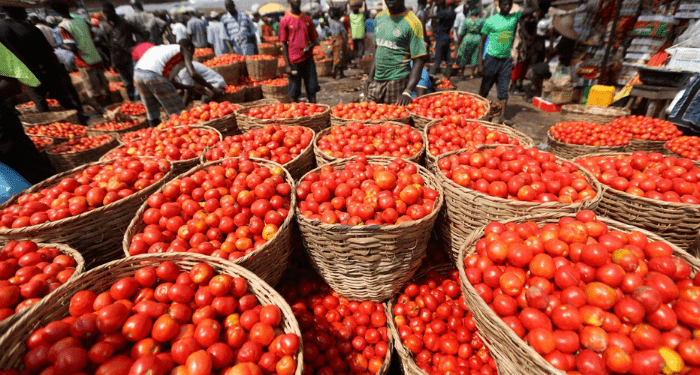 Food glut, tomato scarcity: Why Ghana has too much rice but not enough tomatoes – MyJoyOnline