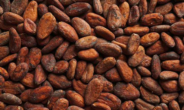 EU warns Ghana and Côte d’Ivoire to reform cocoa sector or risk losing global market share
