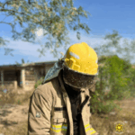 GNFS rescues the Okorase community after bee invasion.