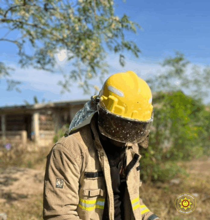 GNFS rescues the Okorase community after bee invasion. – MyJoyOnline