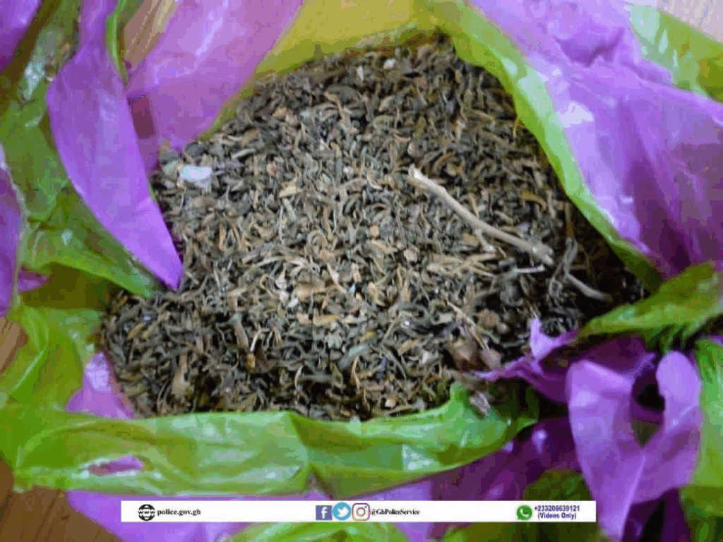 Police nab 27 suspects in Northern Region drug crackdown