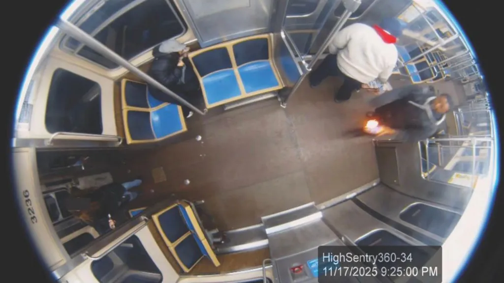 Chicago suspect who set woman on fire a ‘career criminal’, White House says – MyJoyOnline