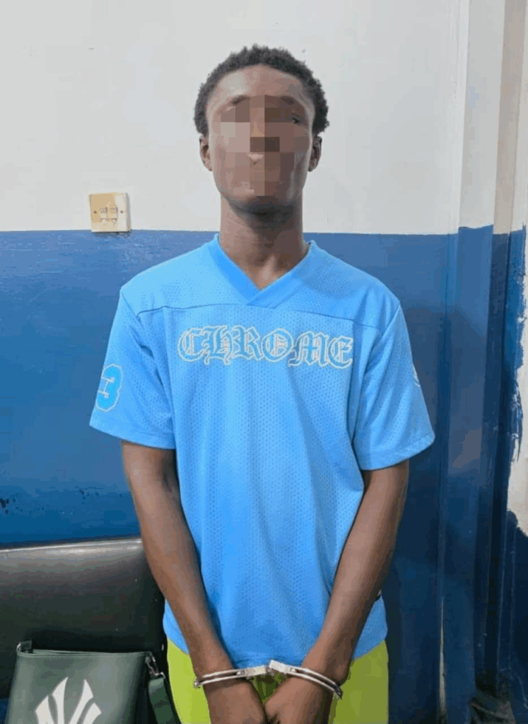 Police arrest woman captured in viral video assaulting her boyfriend Police arrest woman captured in viral video assaulting her boyfriend