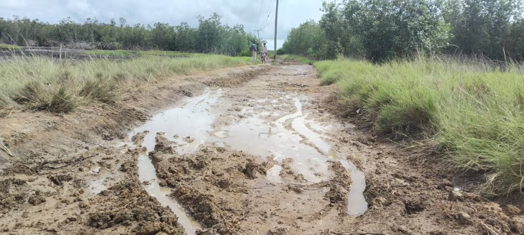 Gamenu electoral area cries for help as deplorable roads cut off 13 communities during rains