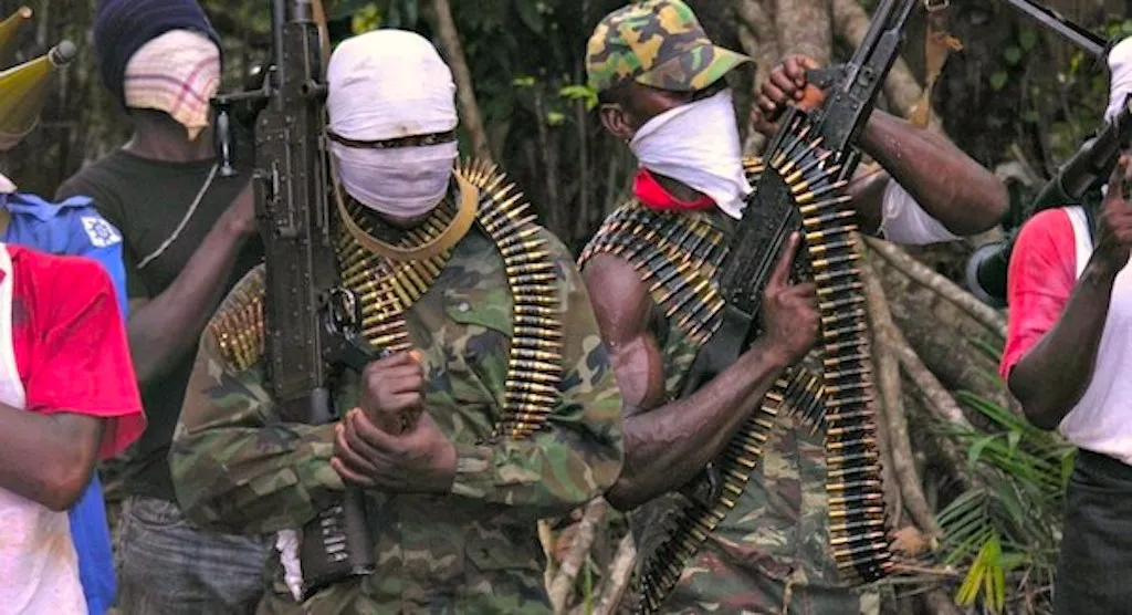 Terrorists kidnap students, teachers from Niger boarding school in Nigeria – MyJoyOnline